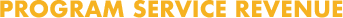 PROGRAM SERVICE REVENUE