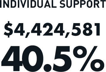 Individual Support: $4,424,581  (40.5%)